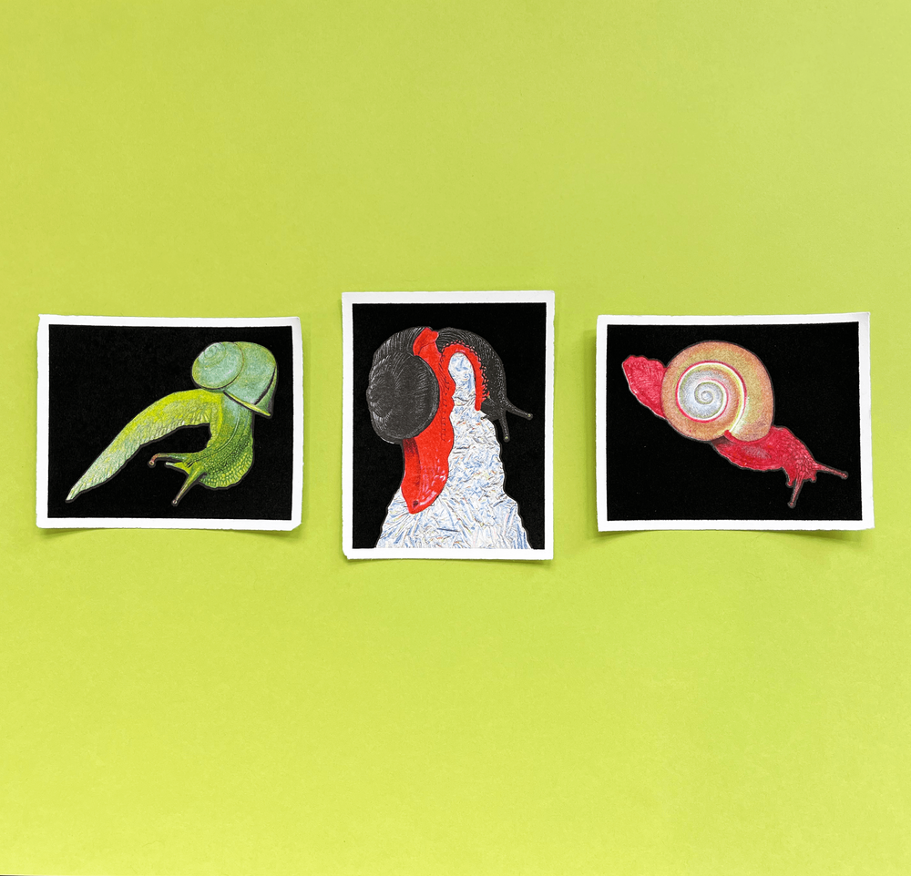 SNAIL TRIPTYCH - Special Edition Flocked Risographs by Skorb